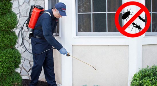 Bahçesaray Bit İlaçlama böcek ilaçlama ve haşere kontrolü — ilaclama-tr.com